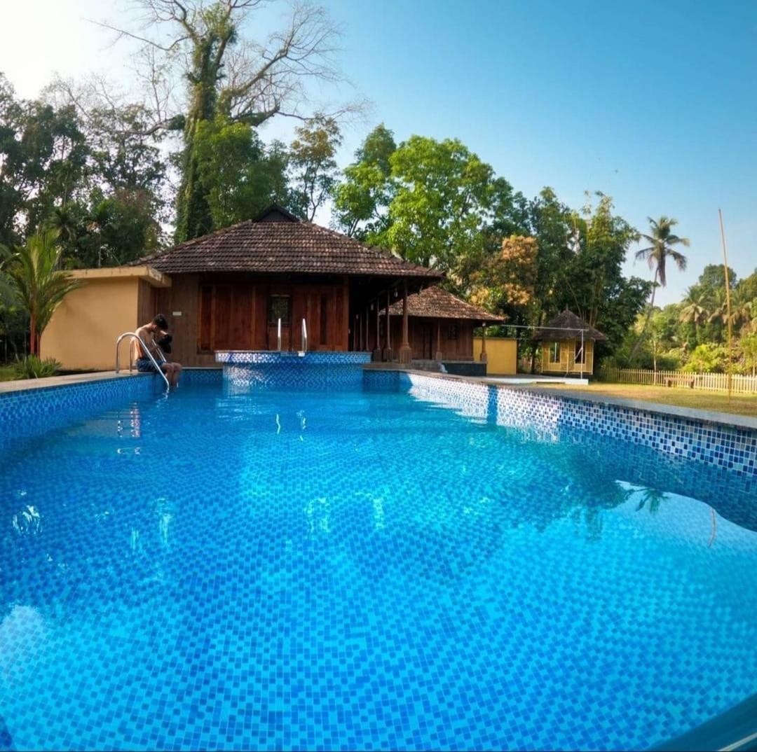 Sparrow Vale Resort Kotamangalam Kültér fotó